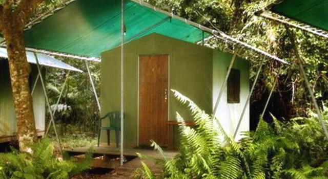 Jungle Lodge, Reserva ahora Hotel Cape Tribulation Daintree