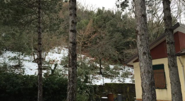 Chalet Serra Pizzuta, Book Chalet Hotels in Sicily with Parking, Parking