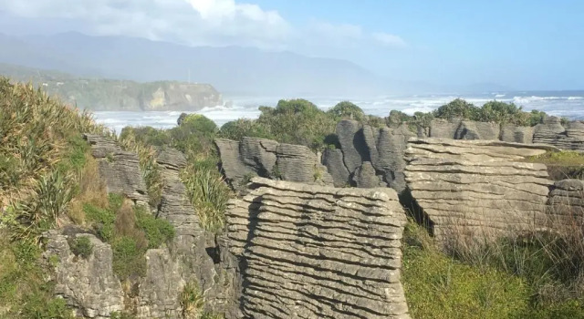 Студия Punakaiki Treehouse Limited
