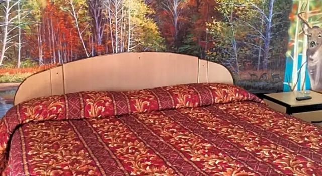 Номер Standard Choice Inn San Antonio