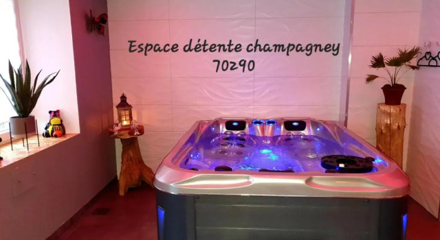 Коттедж espace detente champagney