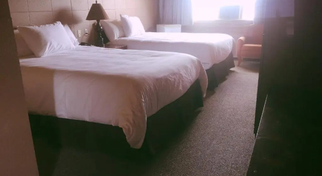Четырёхместный номер Standard Vegreville Garden Inn