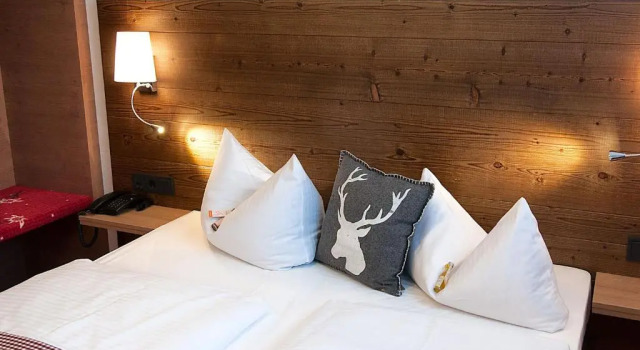 Одноместный номер Standard Hotel Alpensonne