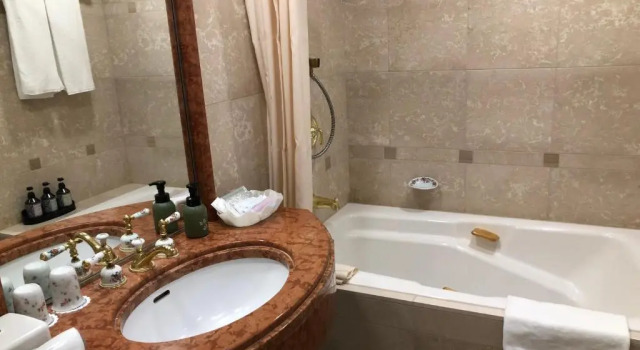Двухместный номер Deluxe International Garden Hotel Narita