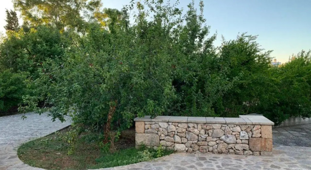 Villa Olivia, Reserva ahora Villa Tricase Salento