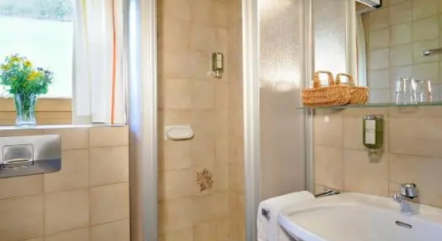 Двухместный номер Standard с видом на горы Naturhotel Alpenrose