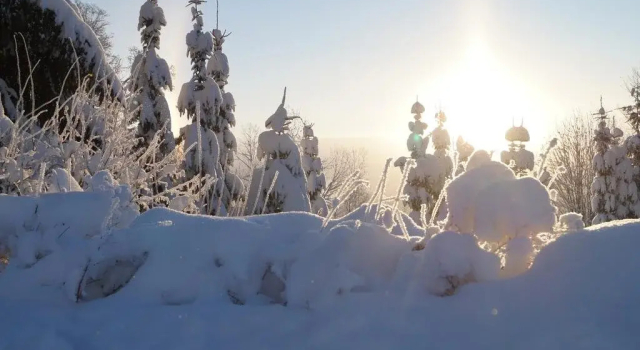 Chalupa u smrku, Rezerwuj Pensjonat Horní Polubný Jizera Mountains
