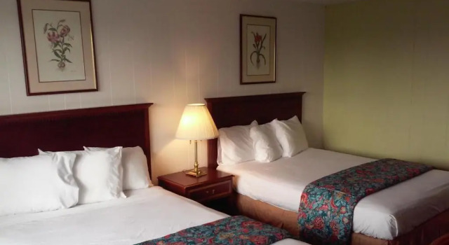 Четырёхместный номер Standard Motel Oasis