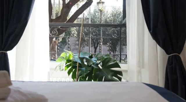 Colosseum suites by Glen, Prenota Affittacamere Roma Lazio