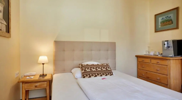 Одноместный номер Standard Hotel Zugspitze