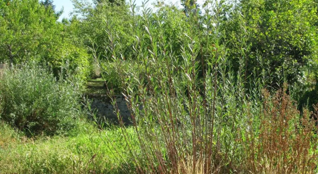 Вилла Maison écoresponsable classée 3 étoiles avec son jardin clos