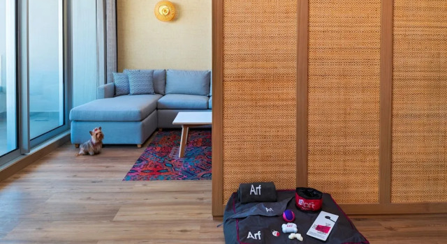Четырёхместный номер Standard с балконом Aloft Playa Del Carmen