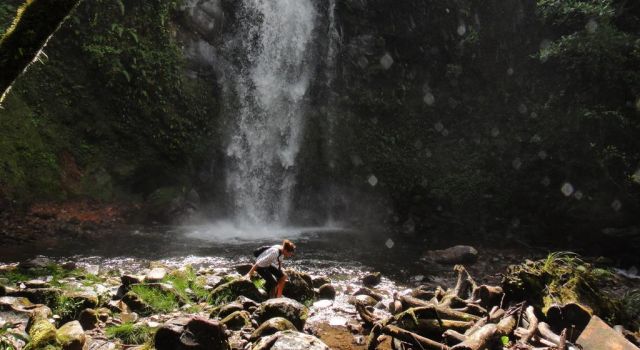 Spanish by the River - Boquete, Book Hostel / Vandrerhjem Hostels i Chiriqui, Hostel / Vandrerhjem