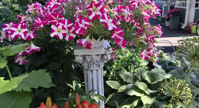 Lovely Mint Garden Studio, Забронировать Отель Вантаа Большой Хельсинки, рядом с Научный центр Эврика