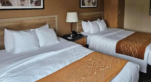 Четырёхместный номер Standard Comfort Inn