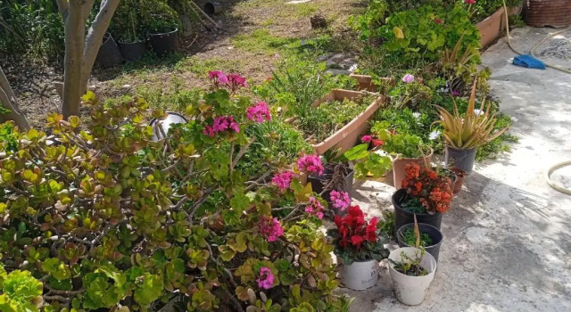 Апартаменты Villa Athina 3