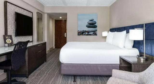 Номер Standard с балконом и с видом на бассейн Wyndham Boca Raton Hotel