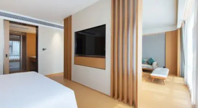 Люкс Deluxe JI Hotel (Zhumadian Municipal Government Branch)