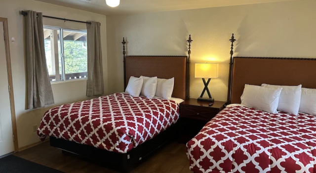 Номер Deluxe Snow Bear Lodge