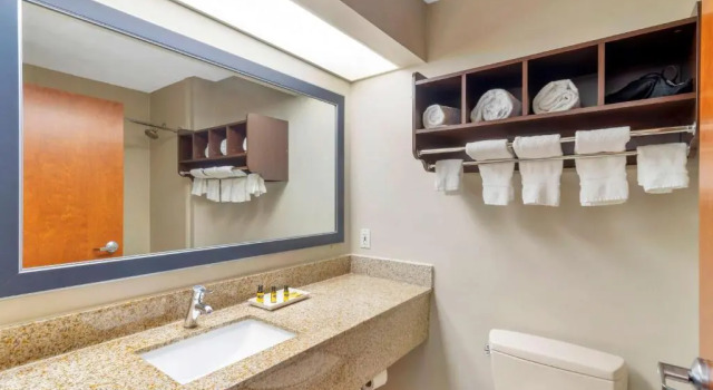 Двухместный люкс Best Western Plus McDonough Inn & Suites