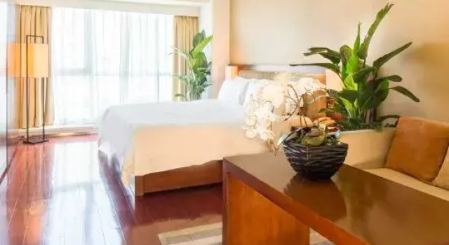 Номер Superior Oak Chateau Beijing
