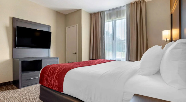Двухместный люкс Comfort Suites Oxford I-20 exit 188