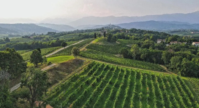 Tenuta Mani Sagge