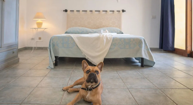 Tranquile Palau Green Village Studio 2 persons plus possible extra Child Bed, Забронировать Апартаменты/квартира Отели в центре Палау, в центре