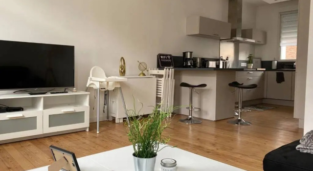 Chaleureux appartement en duplex