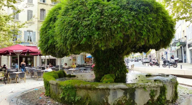 Апартаменты *Fontaine Moussue*Hyper Centre*T2 Standing*