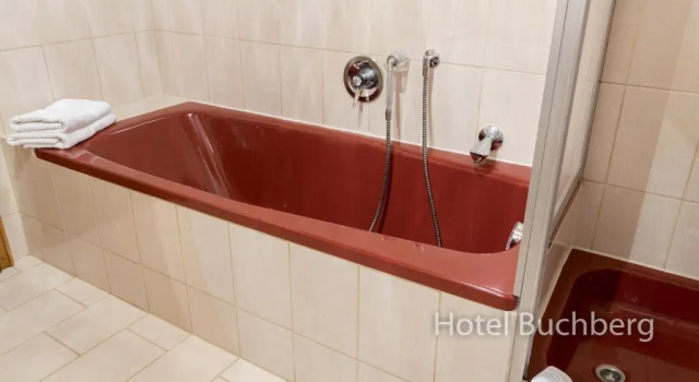 Двухместный номер Standard с видом на горы Hotel Buchberg