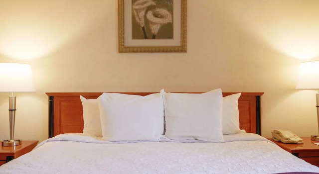 Standardowy dwuosobowy pokój Hotel St-Denis