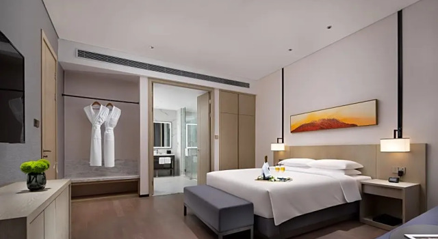 Двухместный люкс Hyatt Place Changsha Airport