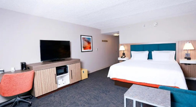 Четырёхместный номер Deluxe Hampton Inn & Suites Tampa-Wesley Chapel