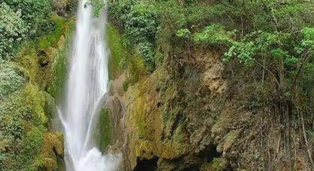 Room-sierraverde Cabins "cabaña la Palma, Забронировать Дом для отпуска Тамасопо La Huasteca