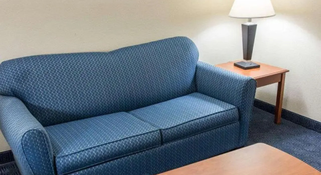 Люкс Standard Comfort Inn & Suites Statesboro - University Area