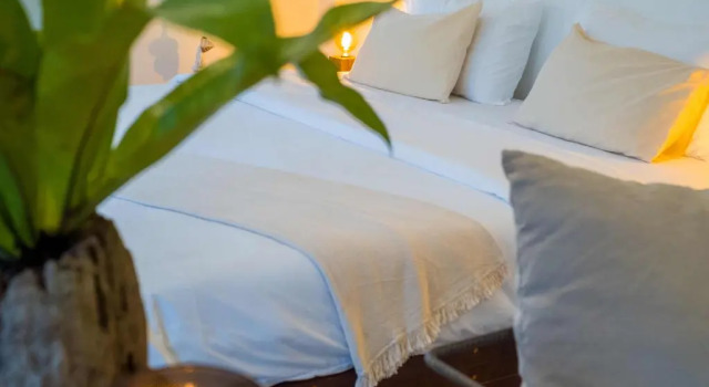 Студия Big Tree Boutique Hotel