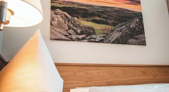 Номер Standard Hotel Gersfelder Hof