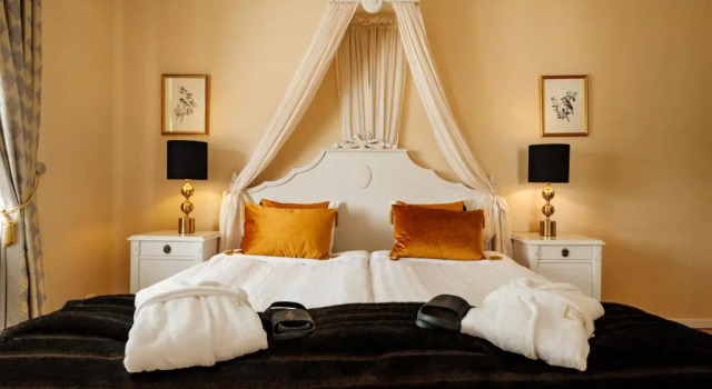 Люкс Badhotellet