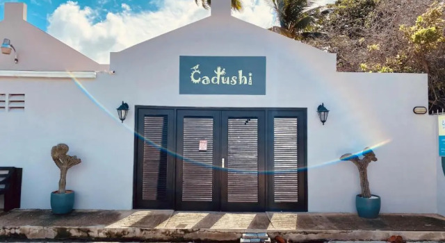 Апартаменты Cadushi Apartments