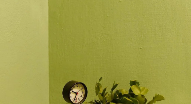 Little House - Hostel