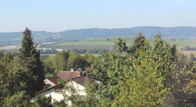Номер Deluxe Bio Gesundheitshotel Haus Sonnenstein