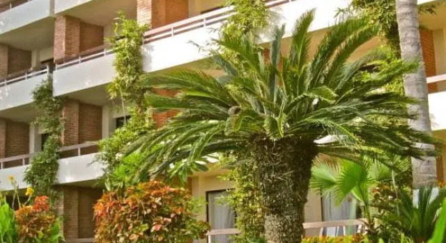 Кровать в общем номере The Palms Resort of Mazatlan