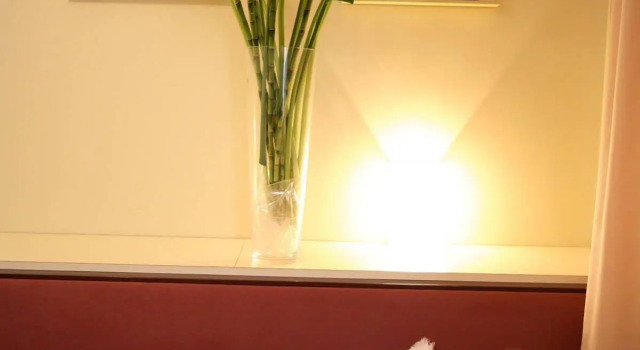 Hotel Romea