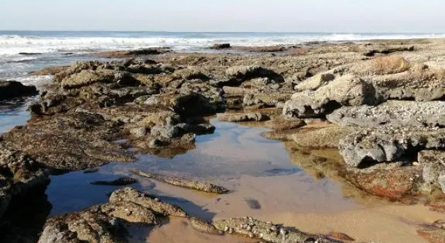 Pennington Ocean View