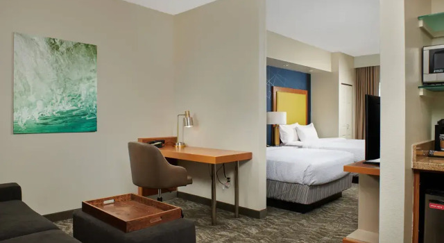 Двухместный люкс SpringHill Suites by Marriott Baton Rouge North / Airport