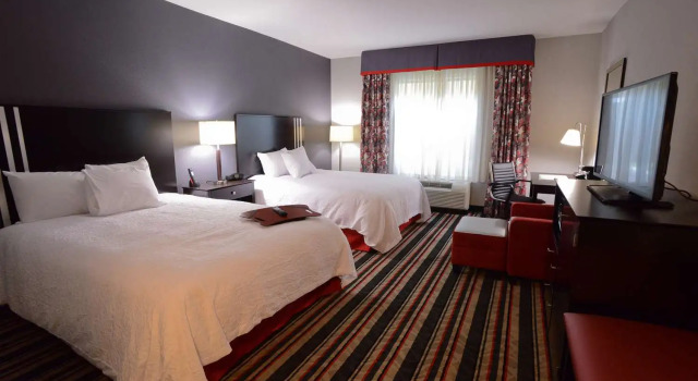 Четырёхместный номер Standard Hampton Inn & Suites Albany at Albany Mall