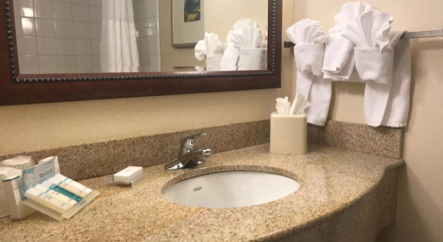 Четырёхместный номер Standard Hilton Garden Inn Ithaca