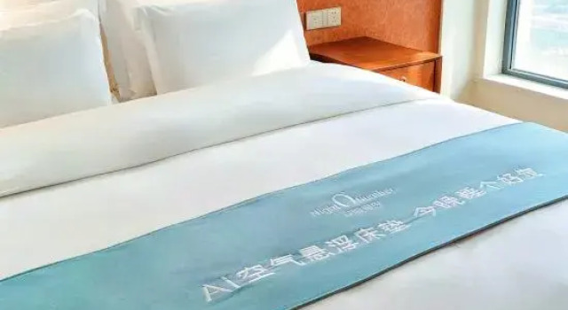 Люкс Business Sunshine Jovial Hotel