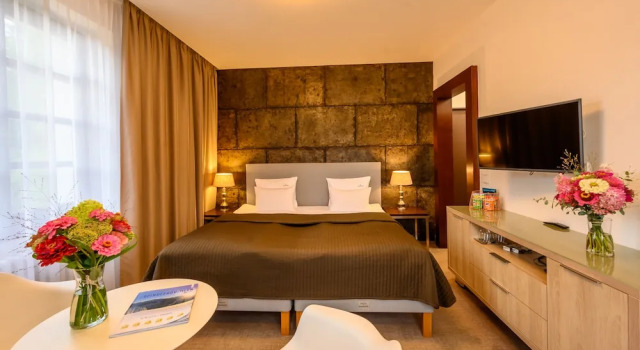 Номер Comfort Hotel Bedriska Wellness Resort & Spa